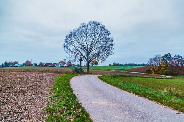 Thumbnail: 04_JA14322 Wirt, Flur.jpg